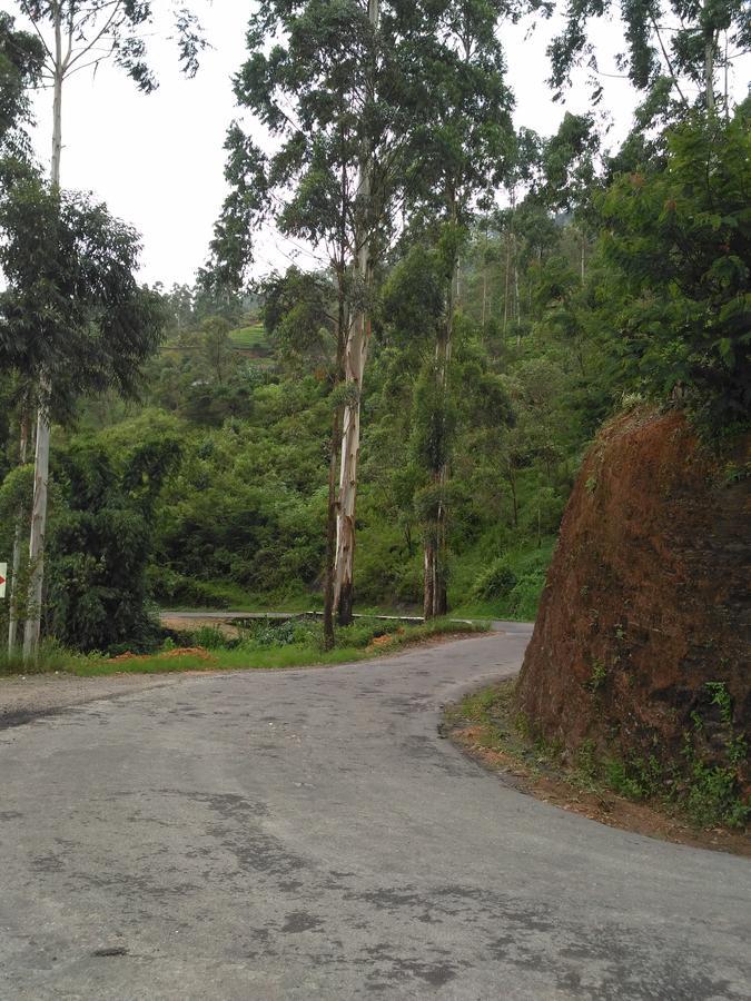 Dam House Hotel Maskeliya Luaran gambar