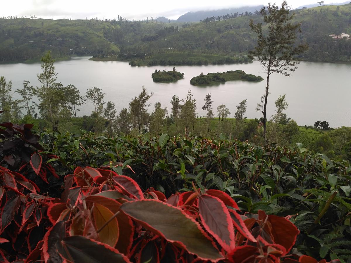 Dam House Hotel Maskeliya Luaran gambar